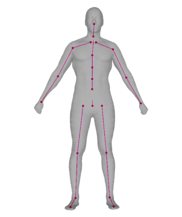 3D figure of man with mesurement results