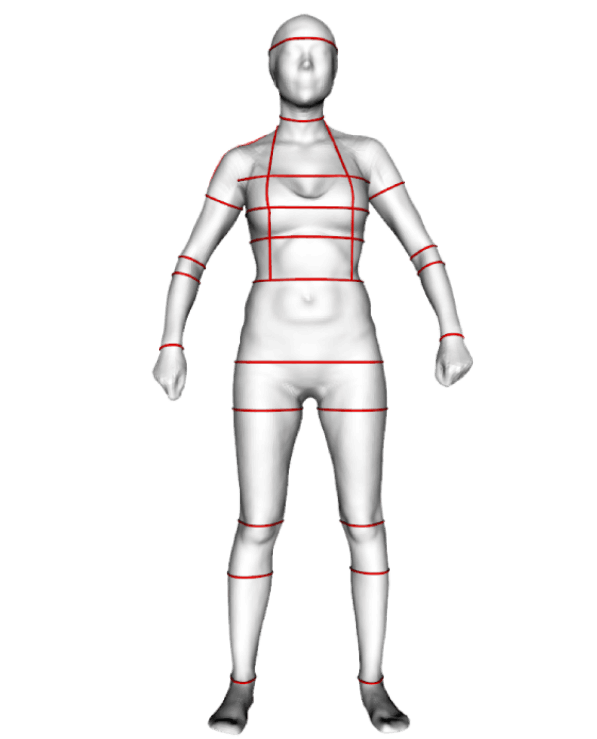3D figure of woman with mesurement results