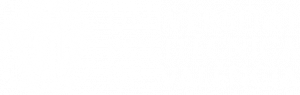 Universidad Politécnica de Valencia logo