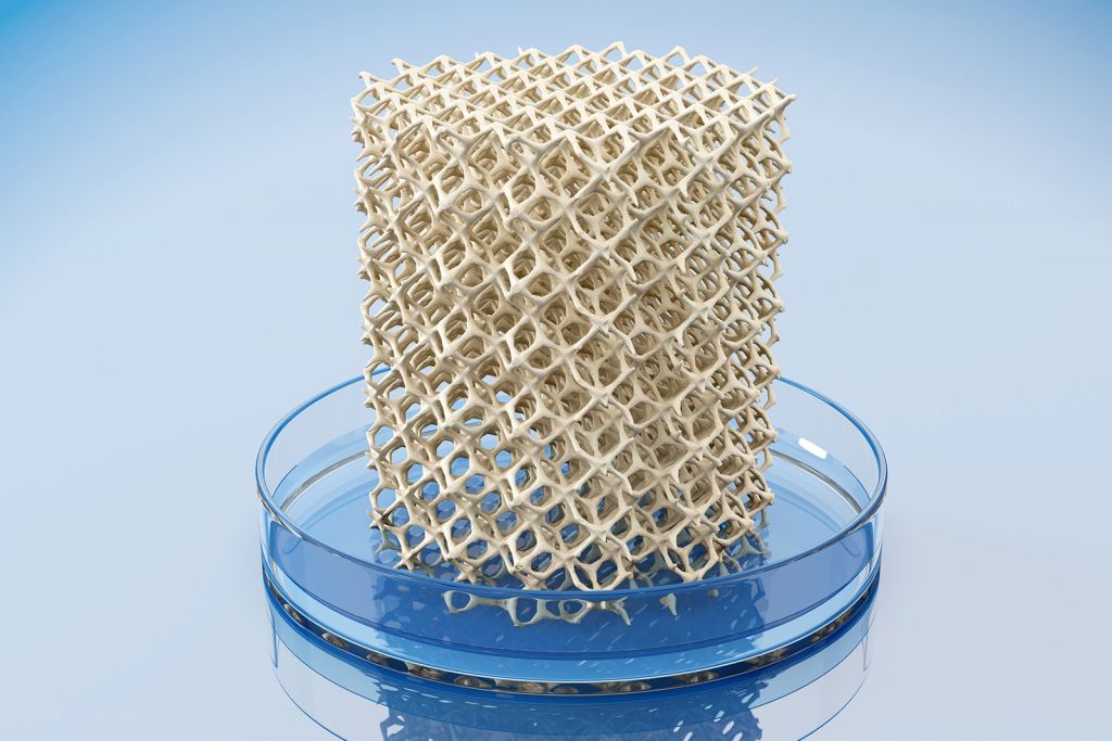 Fotografía de estructura ósea realizada por impresión en 3D