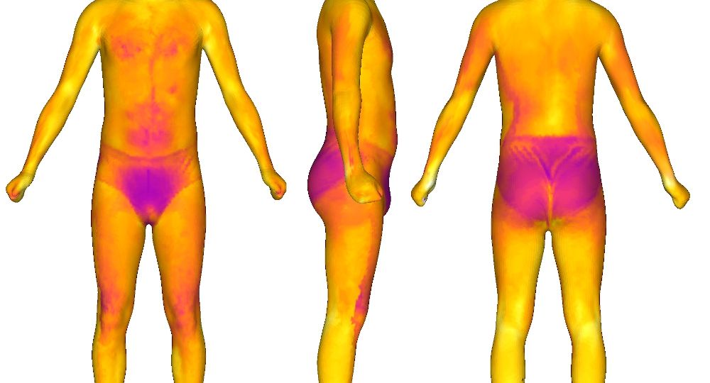 Imagen de figura humana de frente, perfil y espalds con mediciones térmicas