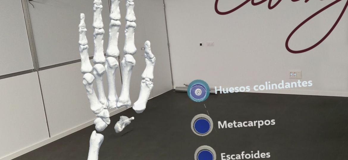 proyecto_XR_SURGICAL_IVACE+i_25